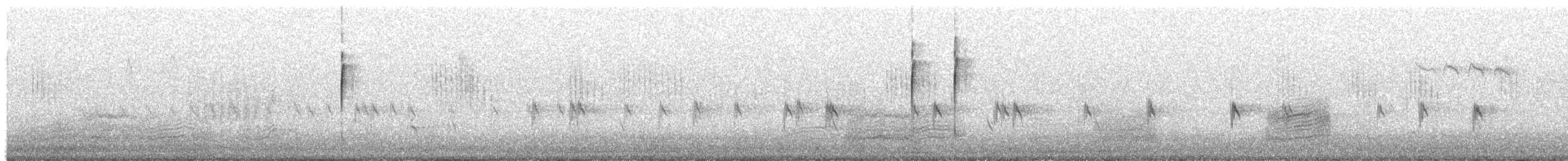 Crociere comune - ML645731671