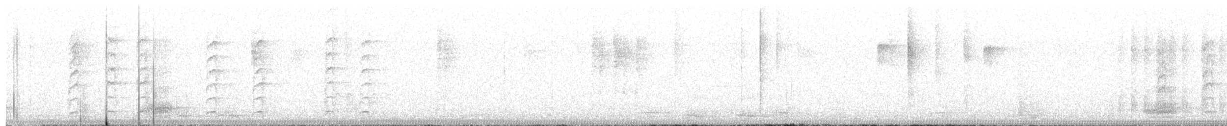 krkavec mexický - ML645732533