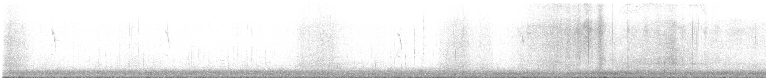 American Pipit - ML645732597