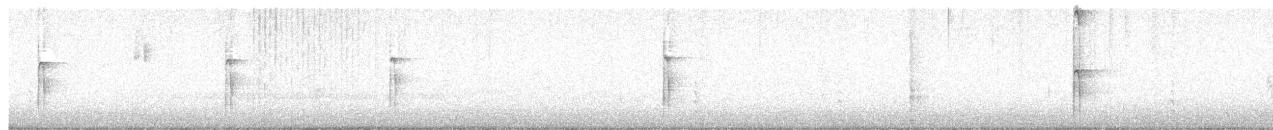 Hairy Woodpecker (Eastern) - ML645732633