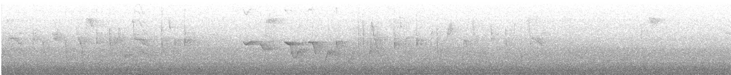 Louisiana Waterthrush - ML645732662