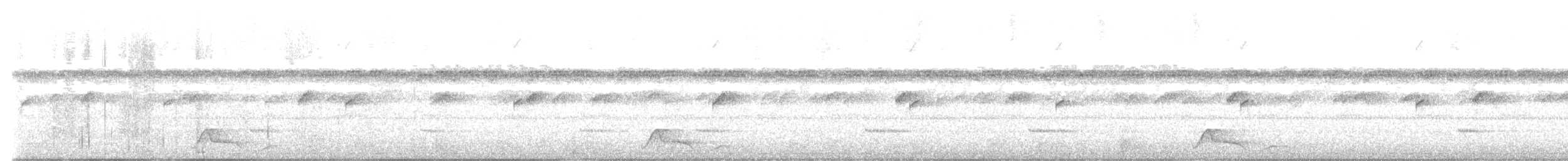 Common Pauraque - ML645732671