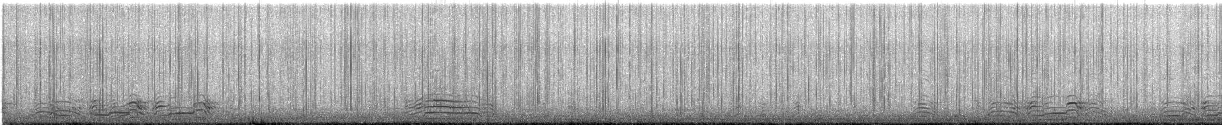 Pato Havelda - ML645733029