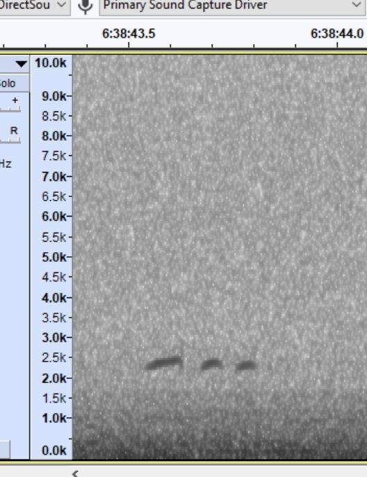 Tayga Çütresi - ML645733039