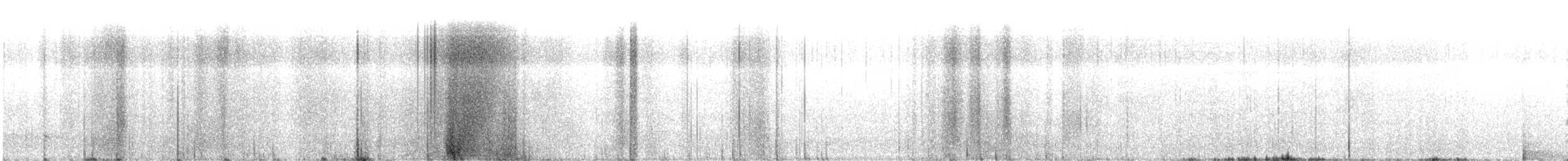 Calamón Australiano - ML645733062