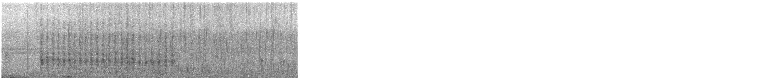 Carpintero Centroamericano x de Hoffmann (híbrido) - ML645733083