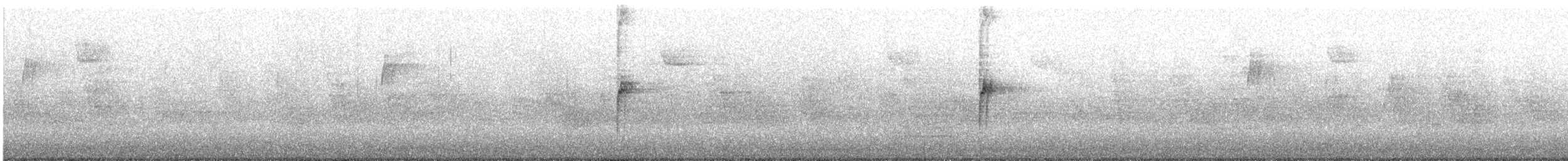 Chingolo Gorjiblanco - ML645733165