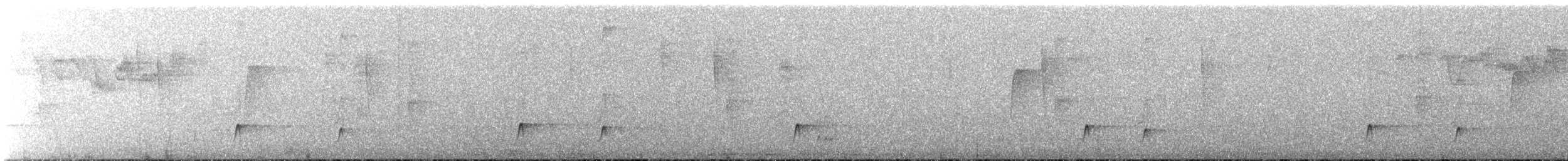 Copetón Tiranillo - ML645733432