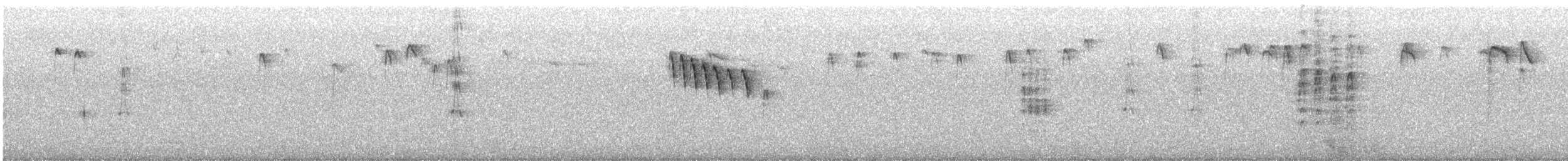 sýkora modřinka - ML645734619