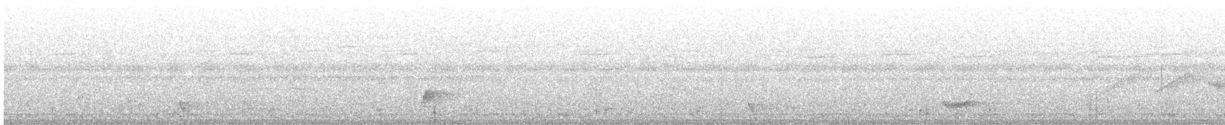 Black-striped Sparrow - ML645734648