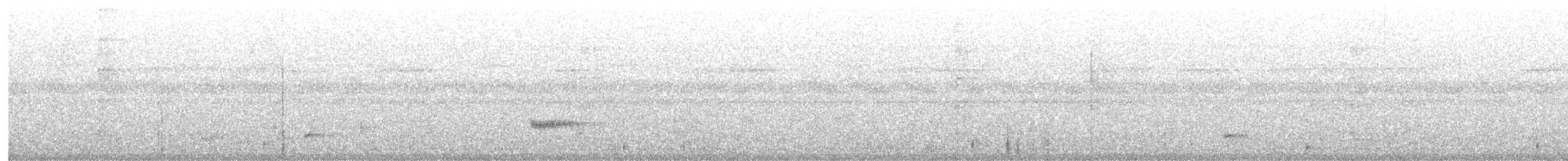 Black-striped Sparrow - ML645734690