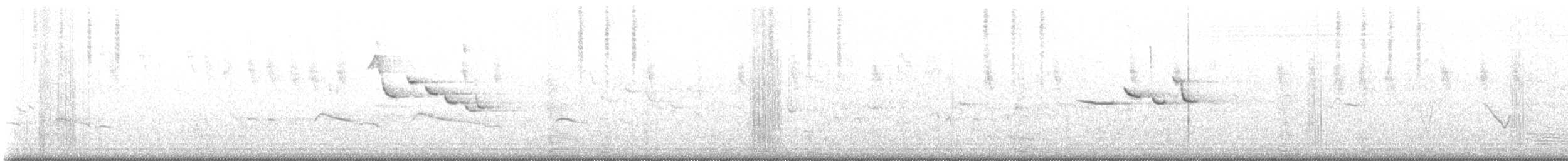 Scarlet Myzomela - ML645734806