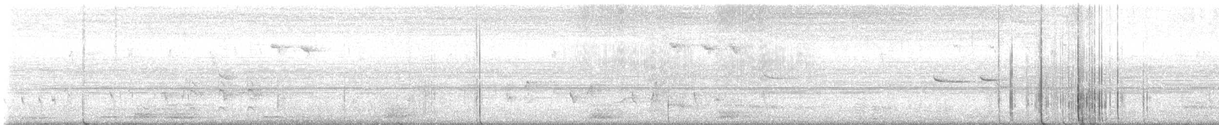 Sacred Kingfisher - ML645735112