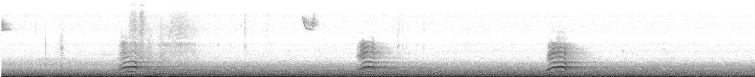 עורב שחור - ML645737196