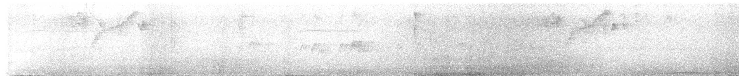 Bananaquit - ML645737300