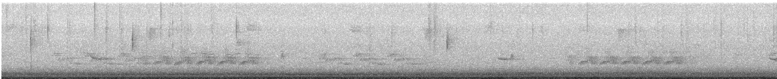 MacGillivray's Warbler - ML645737369