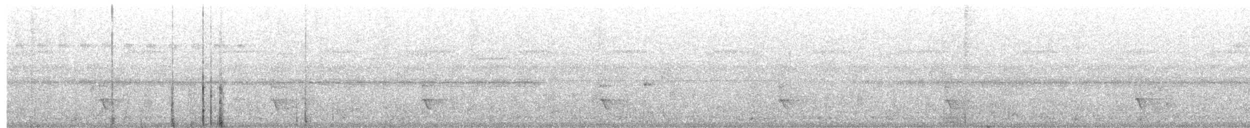 sokolec pralesní - ML645738957