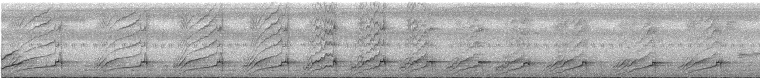 Smooth-billed Ani - ML645739092