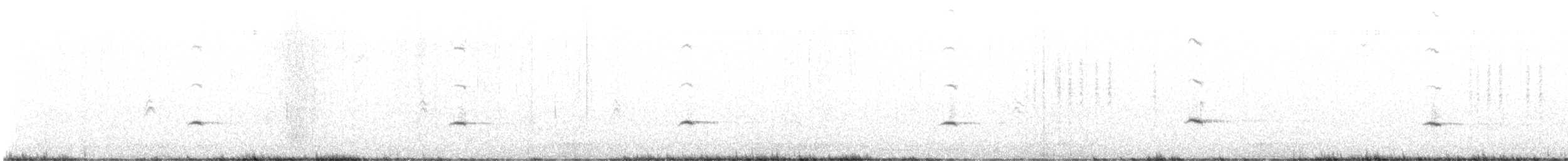 Townsend's Solitaire - ML645739746