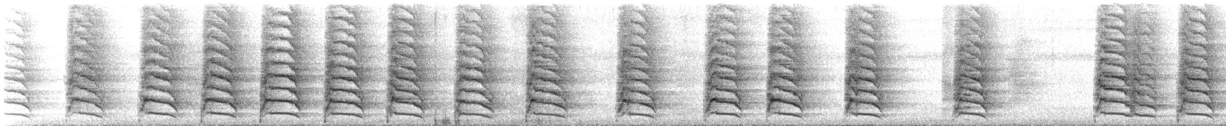 Brown Jay - ML645740346