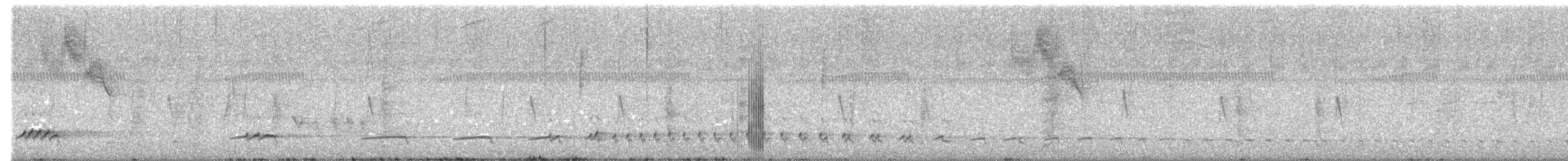 Lesser Ground-Cuckoo - ML645740499