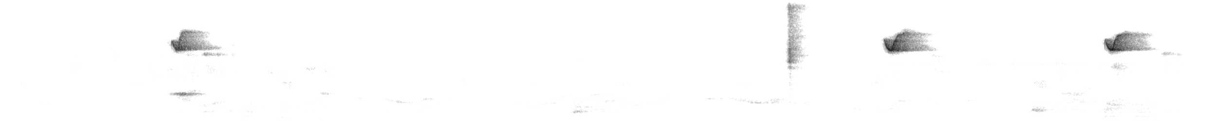 svalekolibri - ML645741401