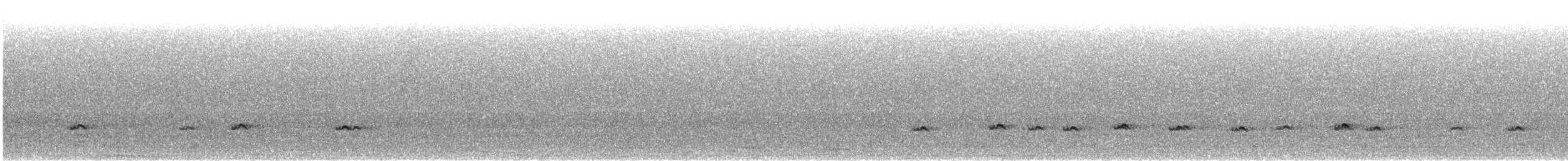 krikkand (crecca) - ML645741451