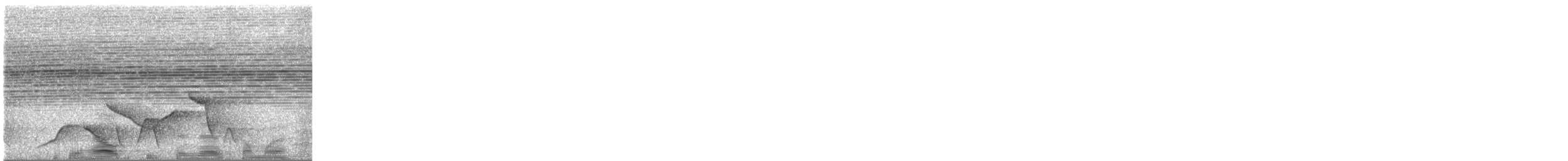 Moustached Wren - ML645742153