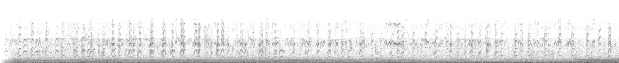 Black-necked Stilt (Black-necked) - ML645742268