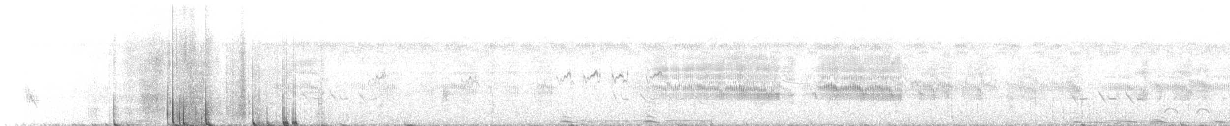 Boat-tailed Grackle - ML645743839