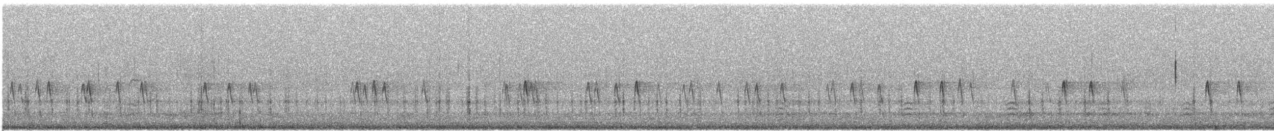 Red Crossbill (Northeastern or type 12) - ML645744539