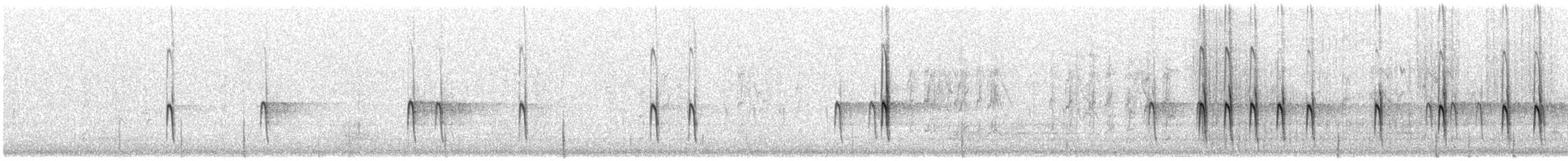 Red Crossbill (Northeastern or type 12) - ML645744541