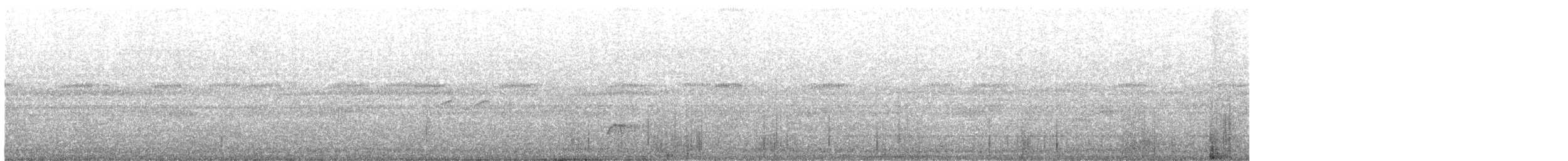 Ivory-billed Woodcreeper - ML645745572