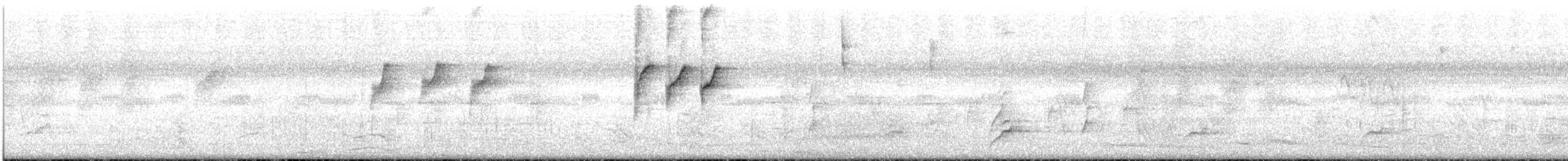 White-browed Scrubwren - ML645746503