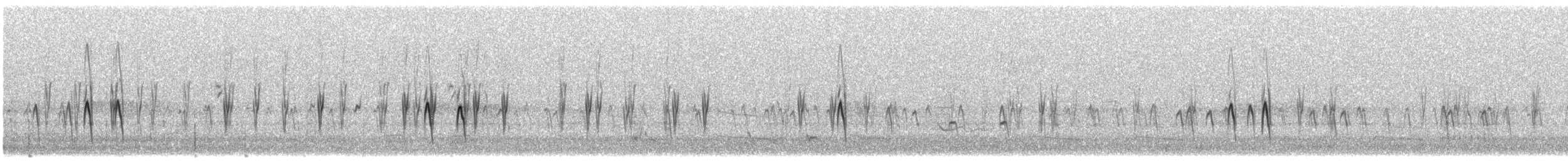 Red Crossbill - ML645746709