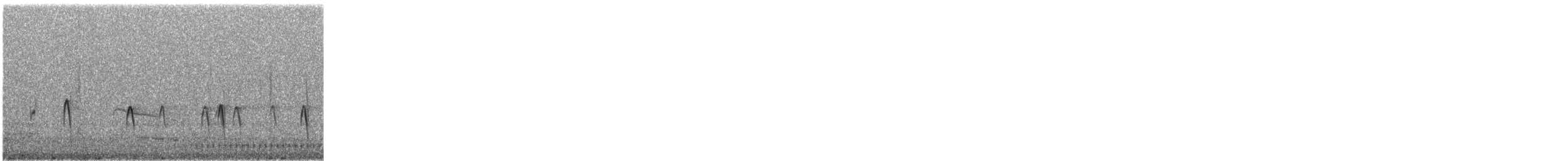 Red Crossbill (Northeastern or type 12) - ML645746891