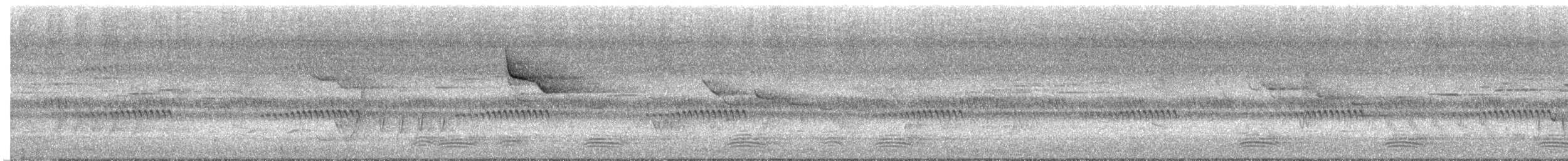 Scharlachhonigfresser - ML645746943