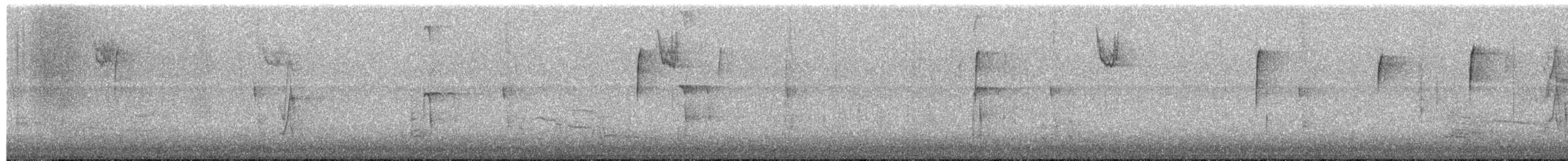 Wanderdrossel - ML645746968