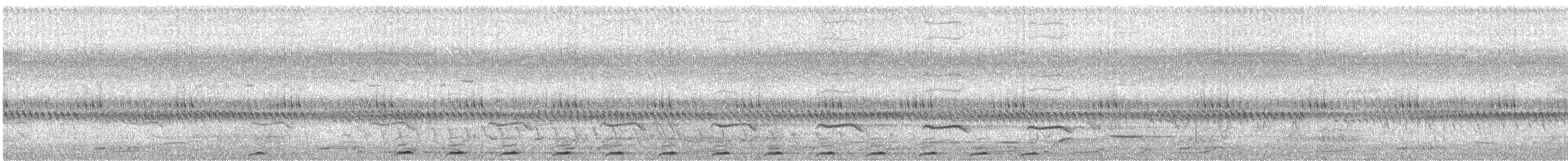 Fasanschwanzkuckuck - ML645747430