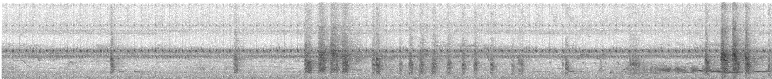 Türkisracke - ML645747435