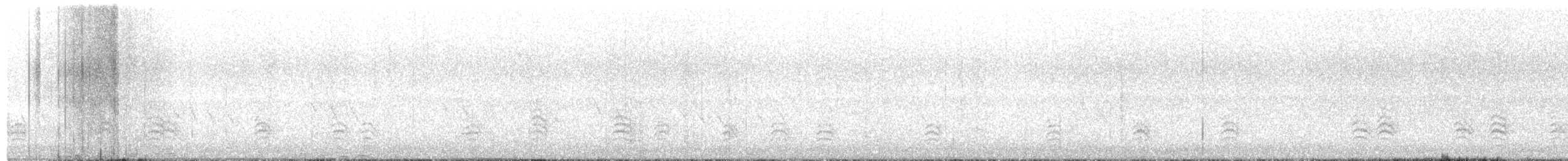 Weißbrustkleiber - ML645747597