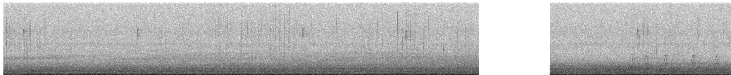 Stockente - ML645747600