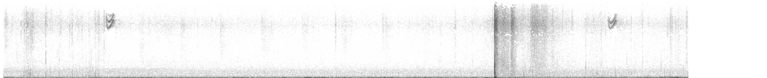 Fuchsammer - ML645747628