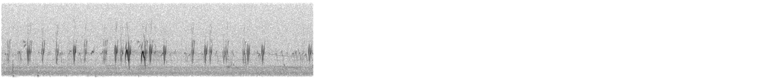 Red Crossbill (Douglas-fir or type 4) - ML645747648