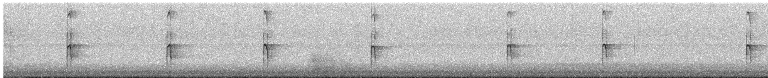 Haarspecht - ML645747649