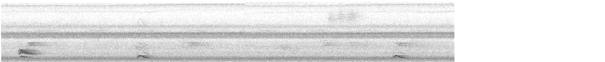 Bornean Banded-Pitta - ML645748014