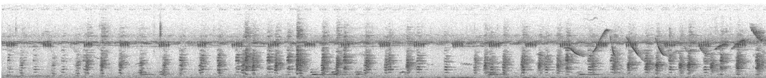 Scaled Chachalaca - ML645748234