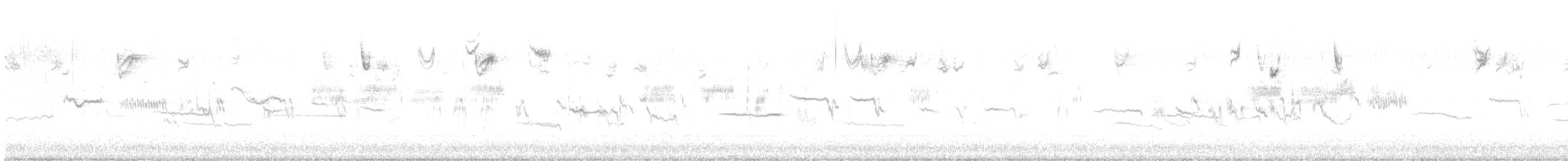 White-crowned Sparrow - ML645748424