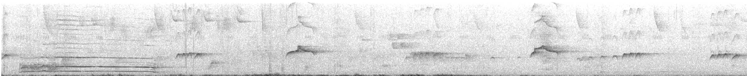 Piratic Flycatcher - ML645748633