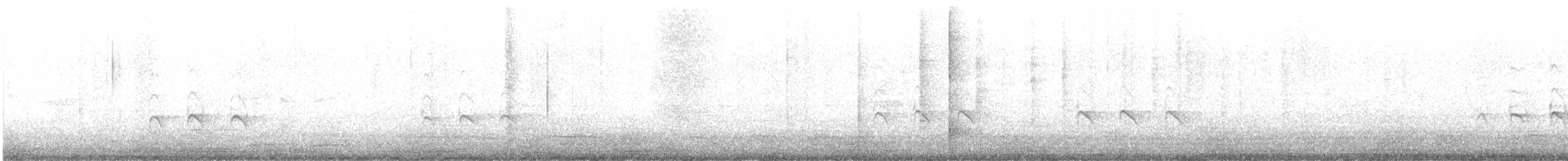 Sacred Kingfisher - ML645749021